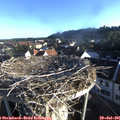 07_05-nest.jpg