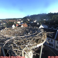 07_10-nest.jpg