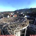 07_20-nest.jpg