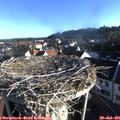 07_25-nest.jpg