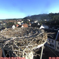 07_30-nest.jpg