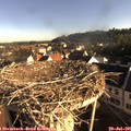 07_45-nest.jpg