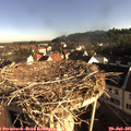 07_55-nest.jpg