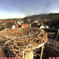 08_00-nest.jpg