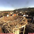 08_05-nest.jpg