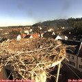 08_15-nest.jpg