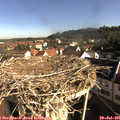 08_50-nest.jpg