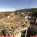 09_05-nest.jpg