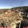09_10-nest.jpg