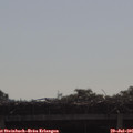 09_20-mast.jpg