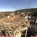 09_20-nest.jpg
