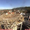 09_35-nest.jpg