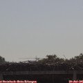09_55-mast.jpg