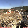 09_55-nest.jpg