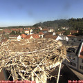 10_05-nest.jpg