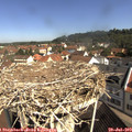 10_20-nest.jpg