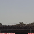 10_25-mast.jpg