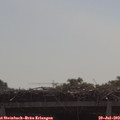 10_35-mast.jpg