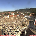 10_35-nest.jpg