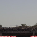 10_50-mast.jpg