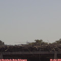 11_00-mast.jpg