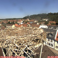 11_55-nest.jpg