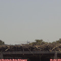 12_20-mast.jpg