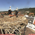 13_20-nest.jpg
