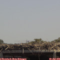 13_35-mast.jpg