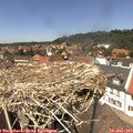 13_35-nest.jpg