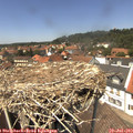 13_40-nest.jpg