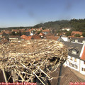 13_45-nest.jpg