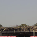 13_50-mast.jpg