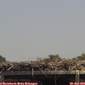 13_55-mast.jpg