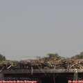 14_00-mast.jpg