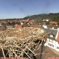 14_00-nest.jpg