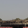 14_10-mast.jpg
