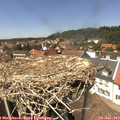 14_10-nest.jpg