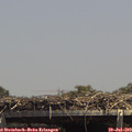 14_15-mast.jpg