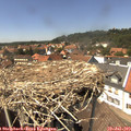 14_20-nest.jpg