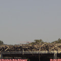 14_25-mast.jpg
