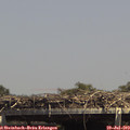 14_30-mast.jpg