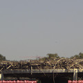 14_40-mast.jpg