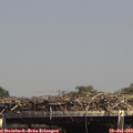 14_45-mast.jpg