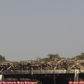 14_55-mast.jpg