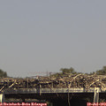 15_00-mast.jpg