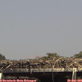 15_05-mast.jpg