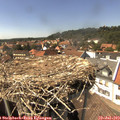 15_10-nest.jpg