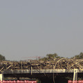 15_35-mast.jpg