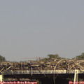 15_45-mast.jpg